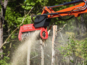 FECON Bull Hog drum mulcher for 7000 - 16000 lbs. excavators