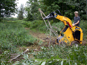 BAUMALIGHT TREE PULLER