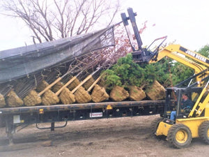 DPM Nuresry Jaws  tarp puller attachment for skid steer